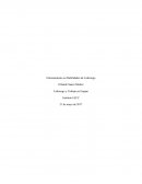 LA TAREA 5 LIDERAZGO Y TRABAJO EN EQUIPO