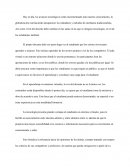 Entornos virtuales ensayo para niños