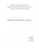 IMPACTO DE LA CRISIS ALIMENTICIA EN VENEZUELA