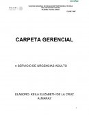 CARPETA GERENCIAL HOSPITAL