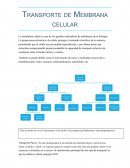 El Transporte de Membrana celular