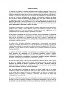 Criterios de Auditoria integral