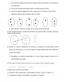 ¿Qué diferencia existe entre una función cualquiera entre dos conjuntos y una función real de variable real?
