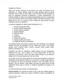 Dentro del territorio mexicano se encuentran casi todos los biomas que se desarrollan en nuestro planeta; desde los áridos desiertos hasta las selvas tropicales