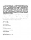 Diagnostico de Caso familia Rupert