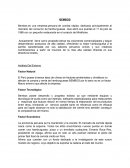 TIENDA BEMBOS LIM Y SU PRODUCCION