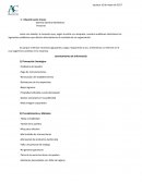 Gerente General AB Motors