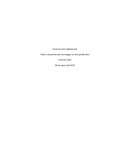 Procedimiento Seguro de Instalación Eléctrica en Construcciones Habitacionales
