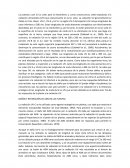 Las plantas usan la luz solar para la fotosíntesis y, como consecuencia, están expuestas