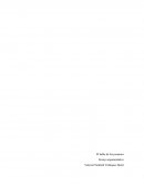 Cuales son los Prejuicios Lingüísticos