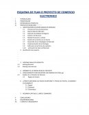 ESQUEMA DE PLAN O PROYECTO DE COMERCIO ELECTRONICO
