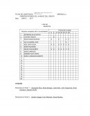 FICHA DE ASISTENCIA MENSUAL y OBSERVACIONES DEL AVANCE DEL GRUPO