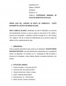 SEÑOR JUEZ DEL JUZGADO DE MIXTO DE TAMBOPATA - CORTE SUPERIOR DE JUSTICIA DE MADRE DE DIOS