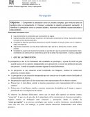 Una nueva Percepcion