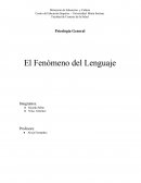 Centro de Educación Superior – Universidad María Serrana.