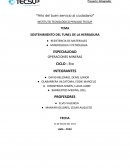 SOSTENIMIENTO DEL TUNEL DE LA HERRADURA