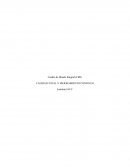 Control Determine la descripción de la empresa, visión, misión y estrategia de la empresa.
