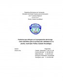 Cuales son los Factores que influyen en la preparación del hongo como beneficio para la producción cafetalera en la piedra, municipio Freites. Estado Anzoátegui.