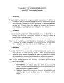 LA EVALUACION POR MENORIZADA DEL RIESGO