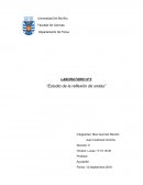 Fisica studiar la reflexión de una onda plana, generada por una fuente de ondas, en diferentes obstáculos