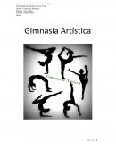 Proyecto gimnasia artistica