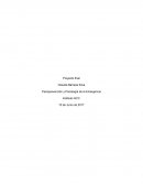 Como se da la Psicoprevención y Psicología de la Emergencia