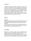 Ensayo - El rio magdalena