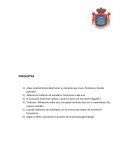 En Que se caracteristicas debe tener un docente que cruz fronteras y tiende puentes