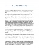 QUE SON LOS ACERTIJOS MATEMATICOS