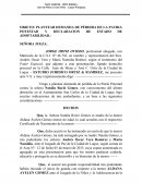 COMO PLANTEAR DEMANDA DE PÉRDIDA DE LA PATRIA POTESTAD Y DECLARACION DE ESTADO DE ADOPTABILIDAD