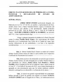 COMO PLANTEAR DEMANDA DE PÉRDIDA DE LA PATRIA POTESTAD Y DECLARACION DE ESTADO DE ADOPTABILIDAD