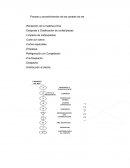 Proceso y procedimientos de las canales de res