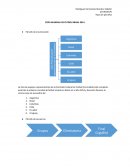 COPA MUNDIAL DE FUTBOL BRASIL 2014