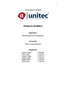 TRABAJO INVISIBLE Metodología de la Investigación