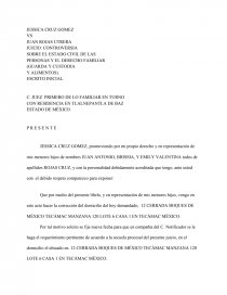 JUICIO: CONTROVERSIA. Página 1