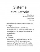 Ciencias - Sistema circulatorio