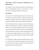 Adopciones de niños por parejas homosexuales en el ámbito político