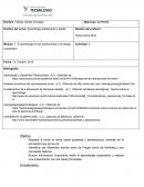 Aprendizaje Adolescente y Adulto - Actividad