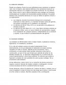 EL EJERCITO ROMANO - Resumen