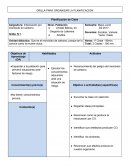 GRILLA PARA ORGANIZAR LA PLANIFICACION