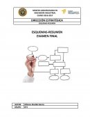 LAS ESTRATEGIAS Y DIRECCIONES Y MÉTODOS DE DESARROLLOS