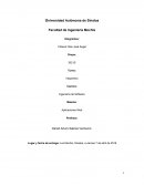 Ensayo - Aplicaciones Web