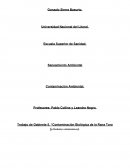 Las grandes Especies invasoras: Rana Toro