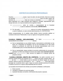 TIPO DE CONTRATO SERVICIOS PROFESIONALES. Página 1