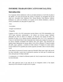 INFORME TRABAJO EDUCATIVO SOCIAL(TES). Página 1