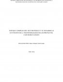 EL GRAN ENFOQUE COMPLEJO DEL SECTOR PÚBLICO Y SU DESARROLLO EN FUNCIÓN DE LA TRANSVERSALIDAD DE LOS PROYECTOS. CASO MARCO LÓGICO