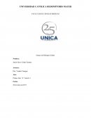 Como se da en el Ensayo sobre Epidemiologia mundial y regional de la influenza