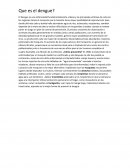 Ensayo de Que es el dengue?