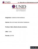 Mapa conceptual de todas las habilidades que requiere un auditor para el desempeño de sus funciones.