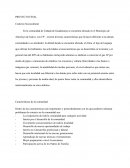 PROYECTO FINAL - Contexto Sociocultural